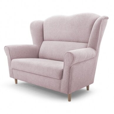 Dvivietė sofa 1