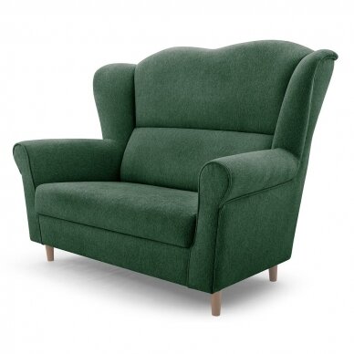 Dvivietė sofa 1