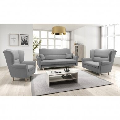 Dvivietė sofa 4