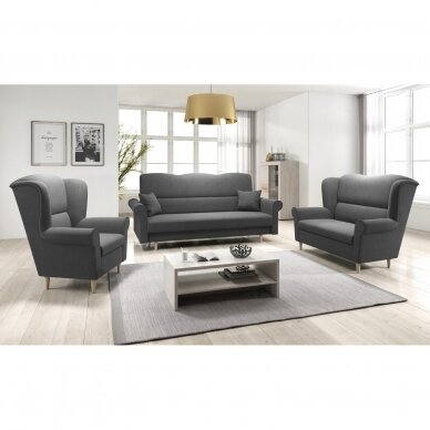 Dvivietė sofa 4