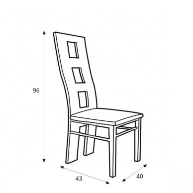 Kėdė "MONTANA" 2